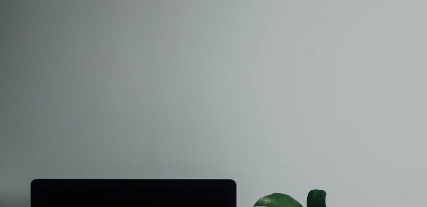 computer monitor with black screen near plant
