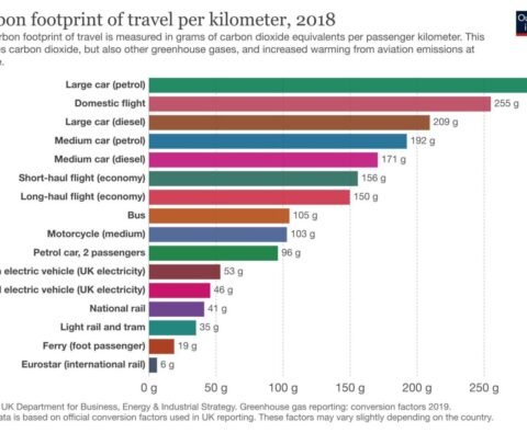 Green Shipping: Reducing Carbon Footprint in Cargo Transport